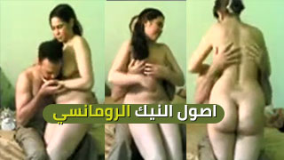 فنون النيك العاطفي وأساليبه المبتكرة - عرب سكس